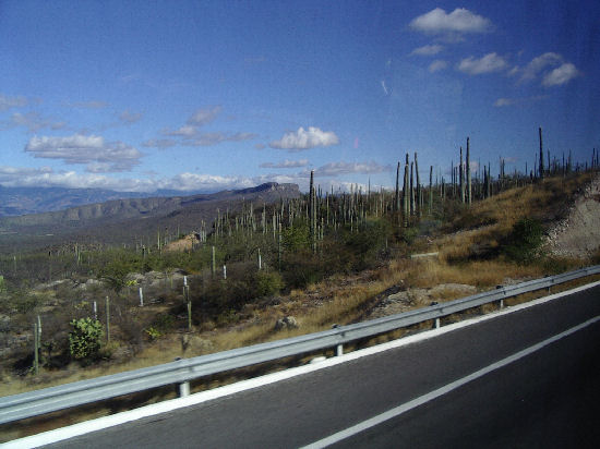 Sur la Route