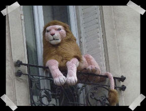 Cliquez sur la photo de nlc