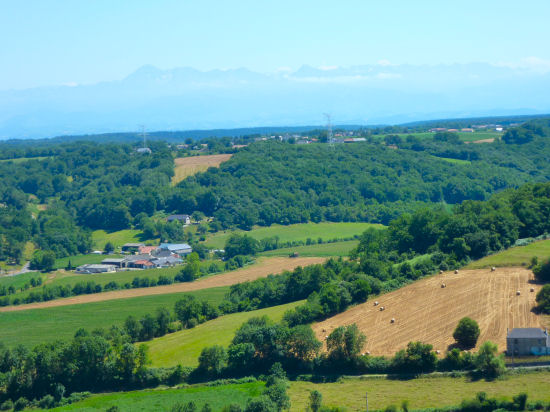 Vue du haut de la Tour