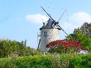 Cliquez sur la photo