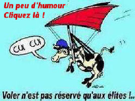 Cliquez sur le dessin