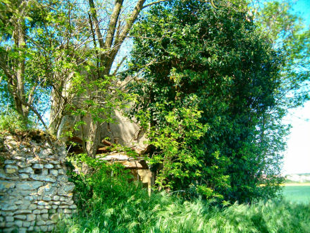 Saint-Loup sur Thouet