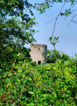 Saint-Loup sur Thouet