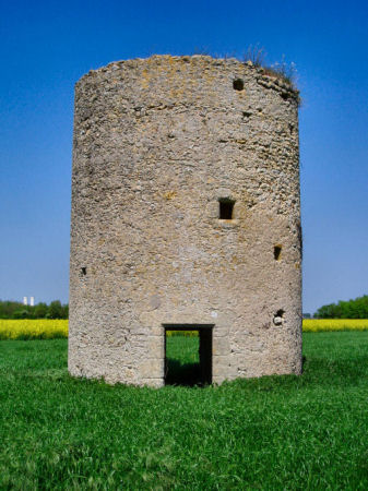 Veluch