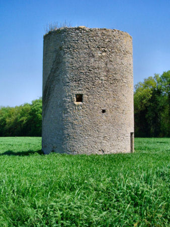 Veluch