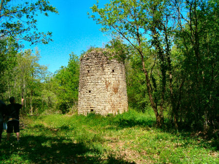 Veluch