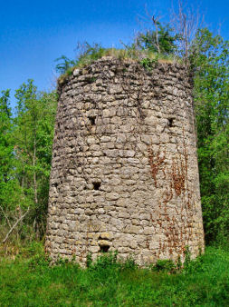 Veluch