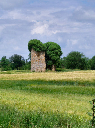 Glnay