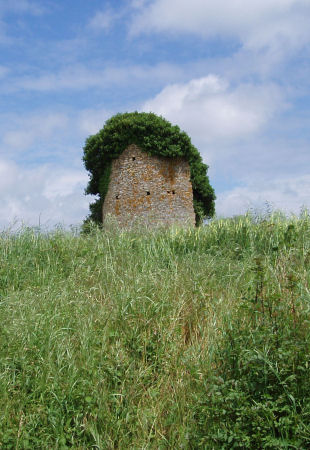 Glnay